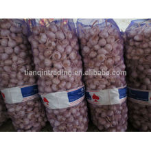 China Garlic for Import and Export
